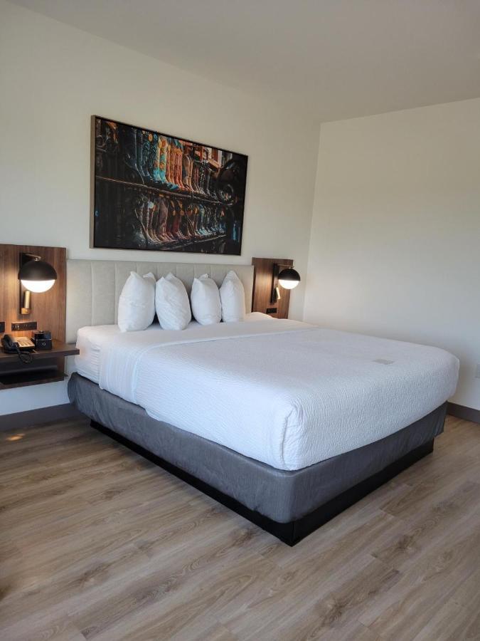 La Quinta Inn & Suites By Wyndham Terrell Buitenkant foto