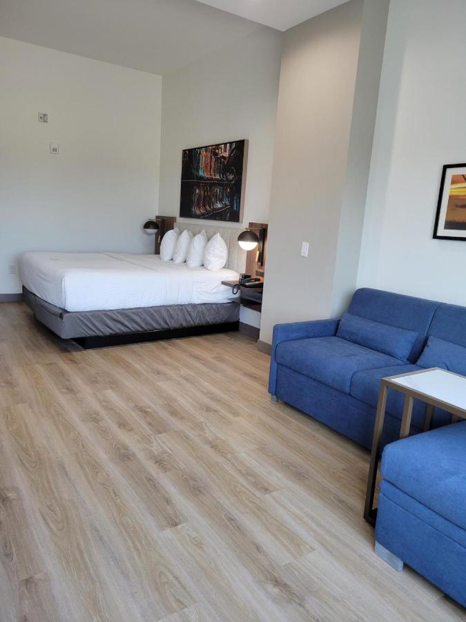 La Quinta Inn & Suites By Wyndham Terrell Buitenkant foto