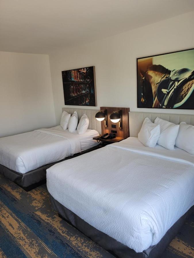 La Quinta Inn & Suites By Wyndham Terrell Buitenkant foto