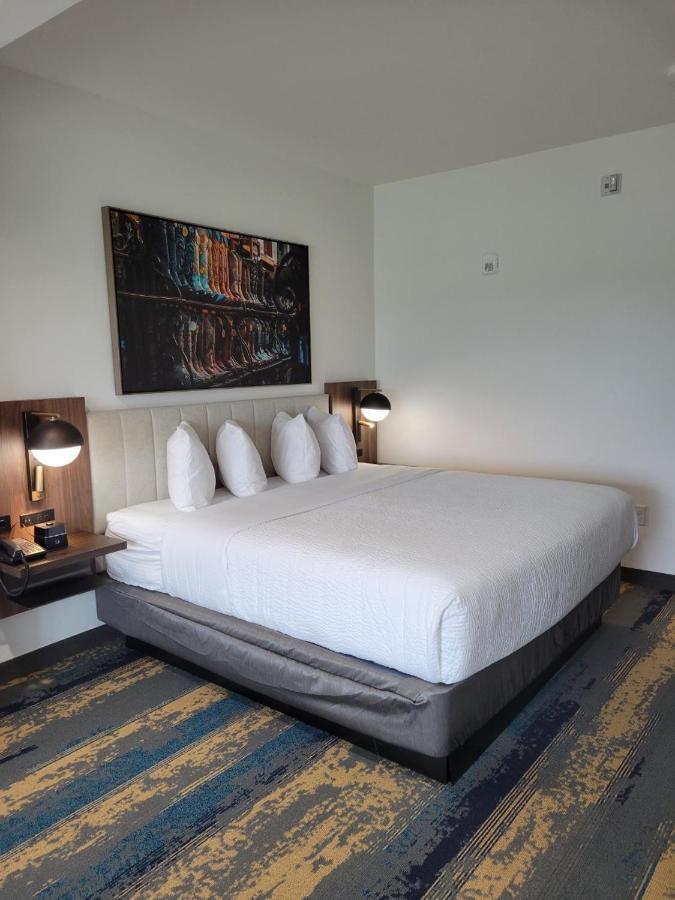 La Quinta Inn & Suites By Wyndham Terrell Buitenkant foto